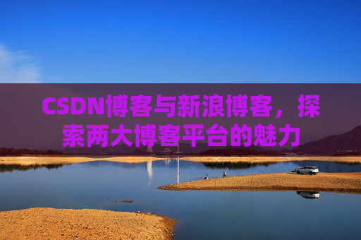 CSDN博客与新浪博客，探索两大博客平台的魅力